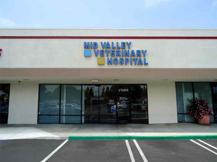 Hospital tour – Mid Valley Veterinary Hospital