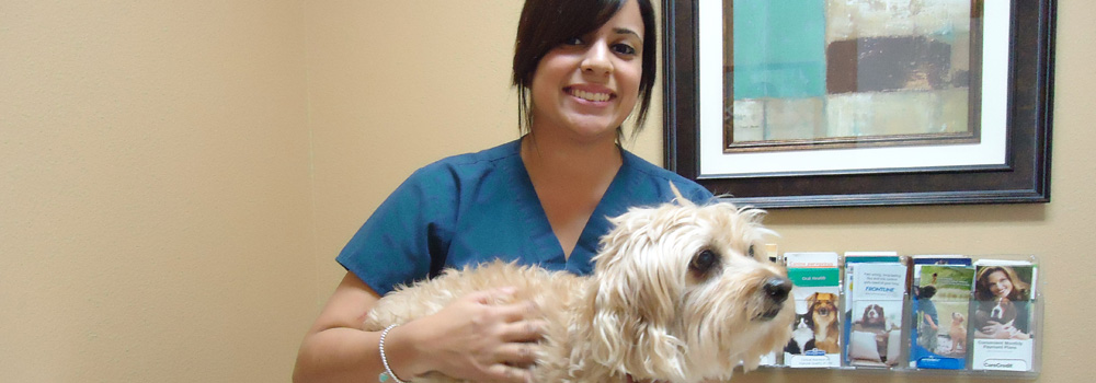 Mid Valley Veterinary Hospital – Serving Van Nuys and Surrounding Areas